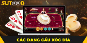 Tổng Hợp Các Dạng Cầu Xóc Đĩa Phổ Biến Và Cách Nhận Biết