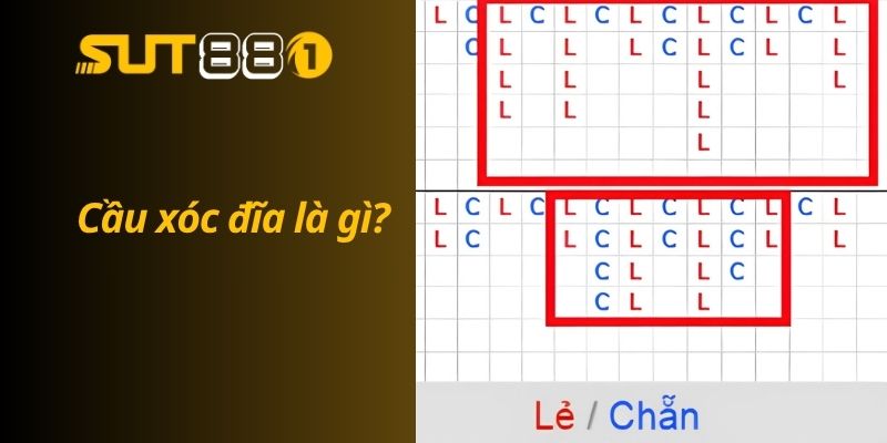Cầu xóc đĩa là gì?