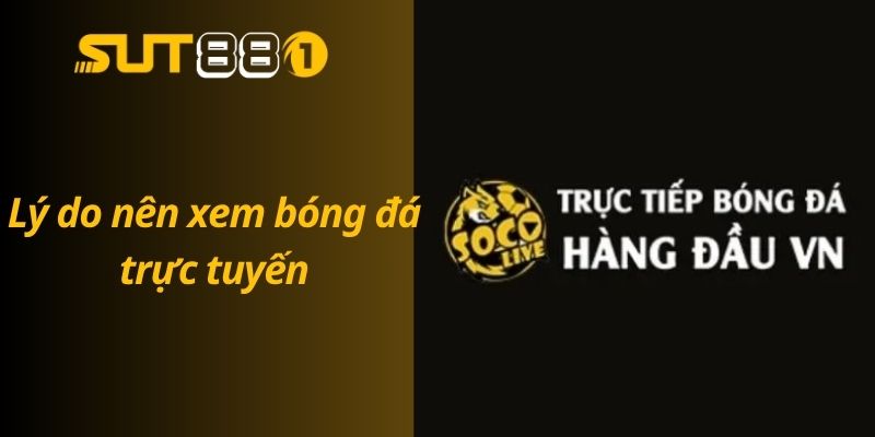 Top Trang Web Xem Bóng Đá Trực Tuyến Uy Tín Và Chất Lượng Lý do nên xem bóng đá trực tuyến