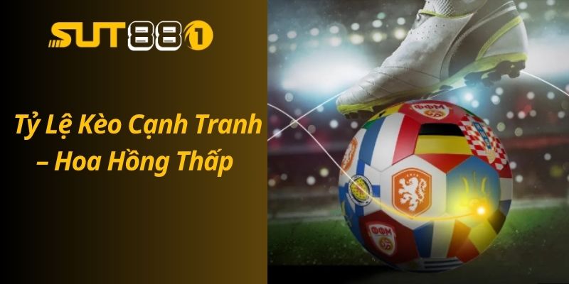 Tỷ Lệ Kèo Cạnh Tranh – Hoa Hồng Thấp