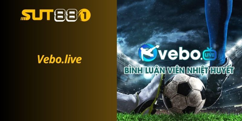 Top Trang Web Xem Bóng Đá Trực Tuyến Uy Tín Và Chất Lượng Vebo.live