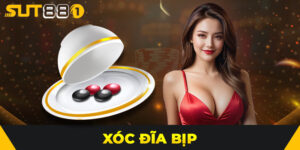 Xóc Đĩa Bịp Là Gì? Cách Nhận Biết Và Phòng Tránh Hiệu Quả