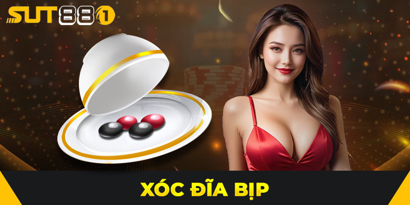 Xóc Đĩa Bịp Là Gì? Cách Nhận Biết Và Phòng Tránh Hiệu Quả